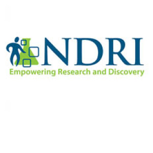 Nonprofit Branding for NDRI